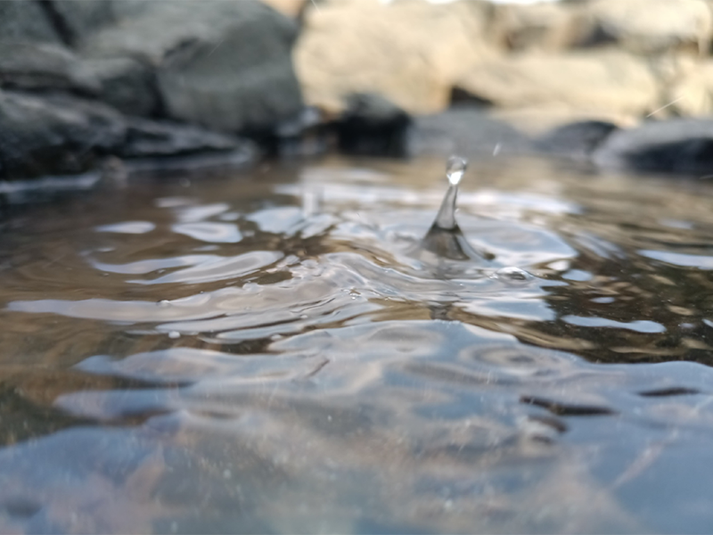 氨氮总氮超标