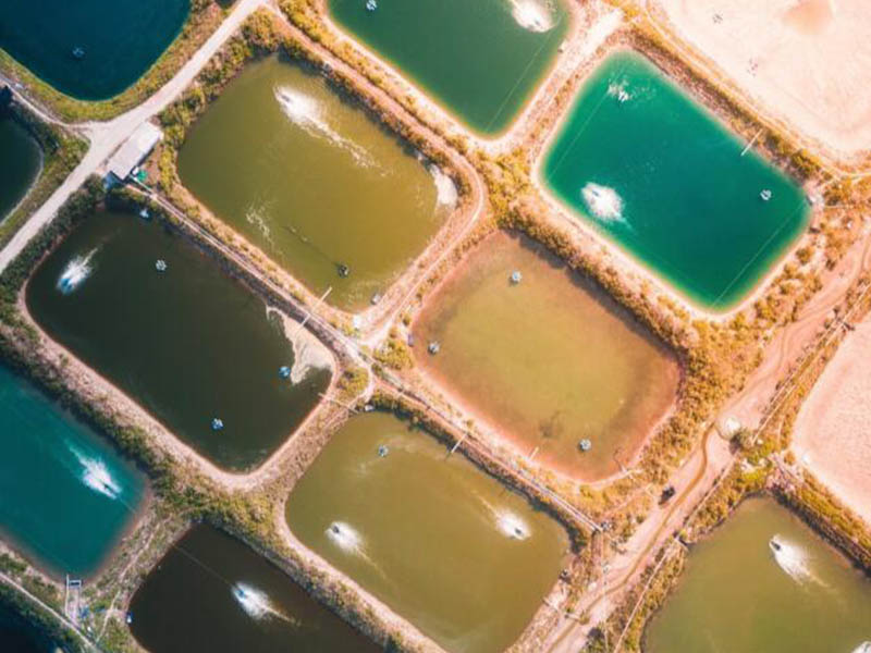 污水处理总氮超标原因