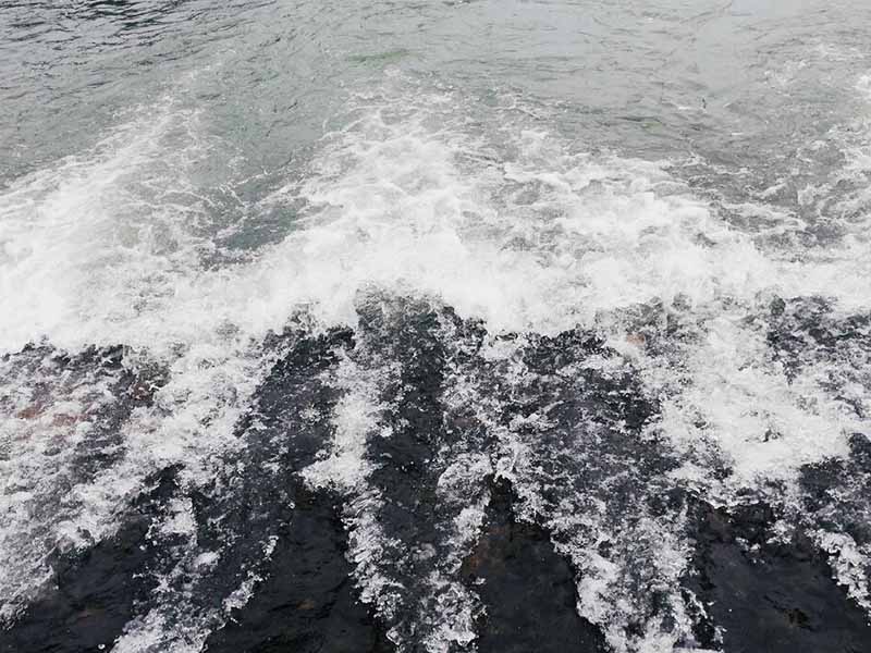 水质总磷测定仪操作步骤