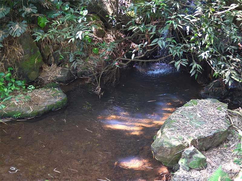 水产养殖氨氮多少正常