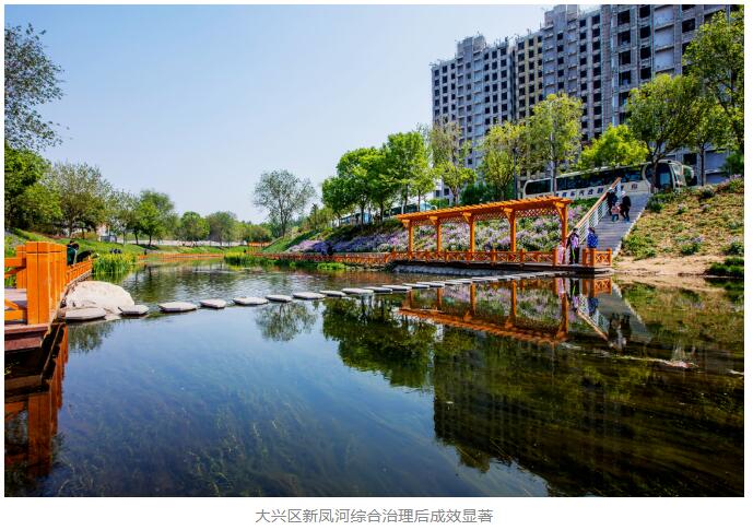 入河排污口治理