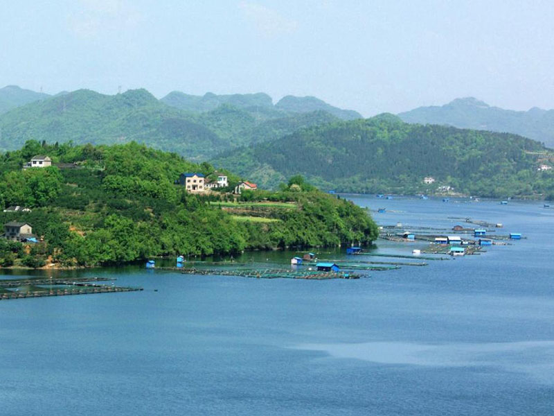 水质检测仪开机都要做标准曲线吗