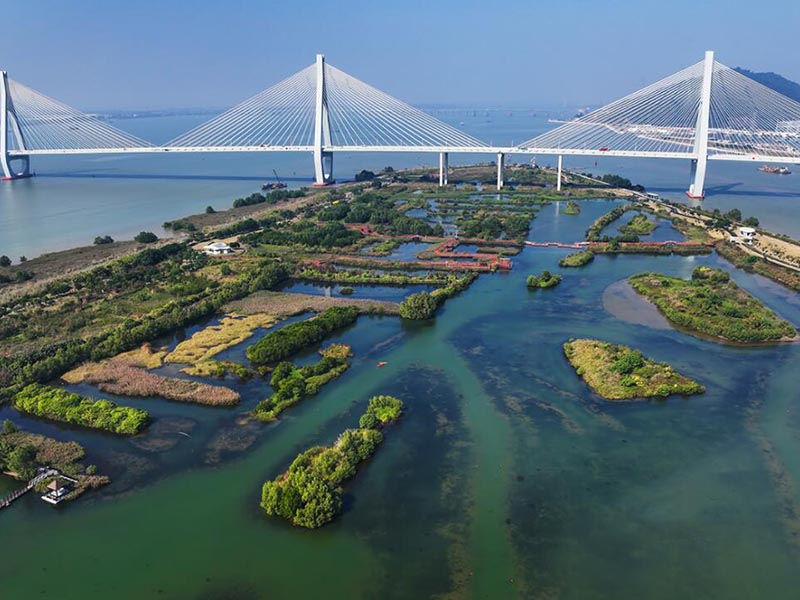 总磷在线监测仪测量原理