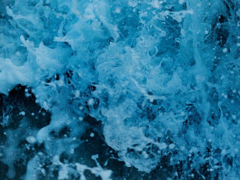 总碱度在水产养殖中的重要性