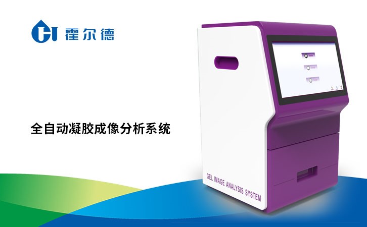 全自动凝胶成像分析系统