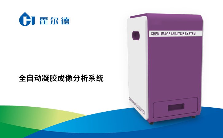 全自动凝胶成像分析系统