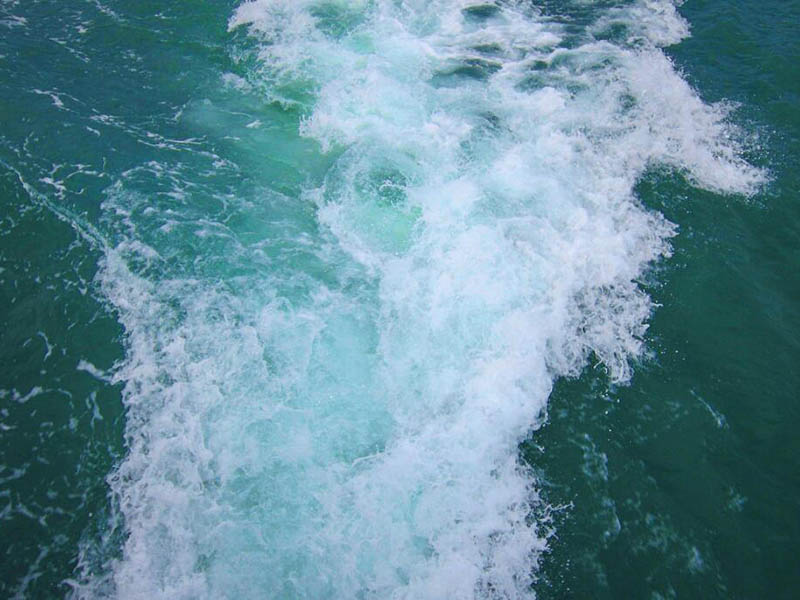 水质cod传统检测方法有哪些