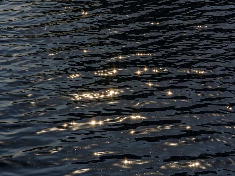 水质重金属检测仪原理