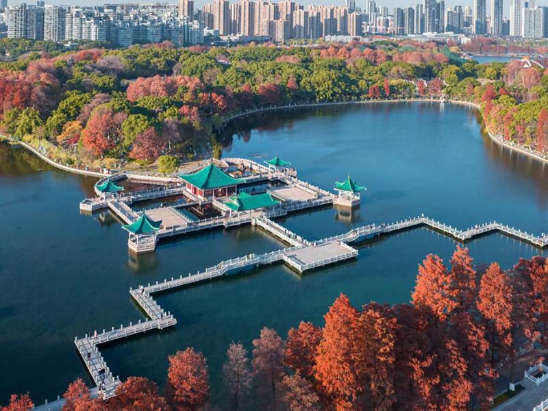 氨氮在线监测仪无法启动怎么办