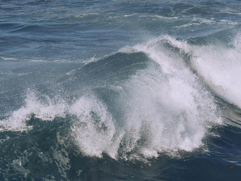水质总氮检测要点有哪些