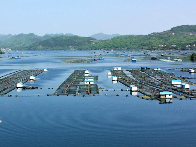 在线氨氮分析仪安装注意事项
