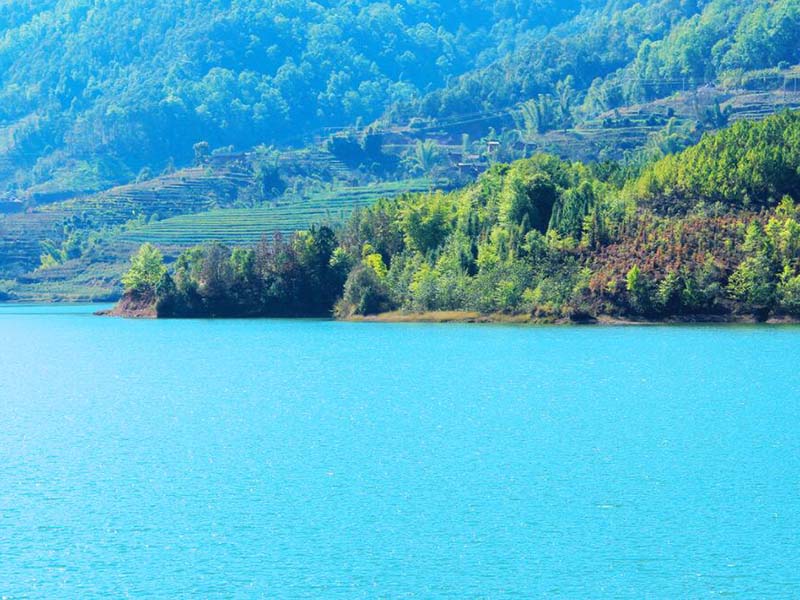 水中微生物采样选择哪种取样桶
