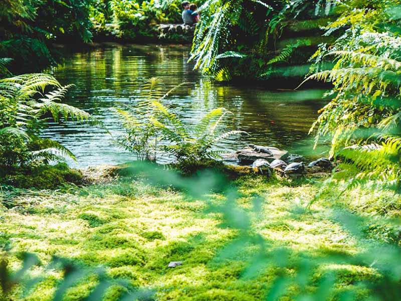 总磷检测水样保存及检测时间