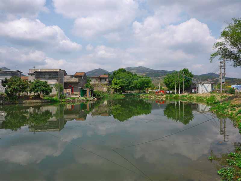 水质总氮分析常见问题