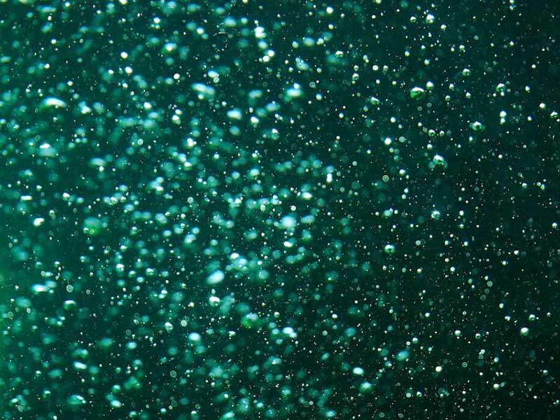 水质叶绿素a分析仪应用领域