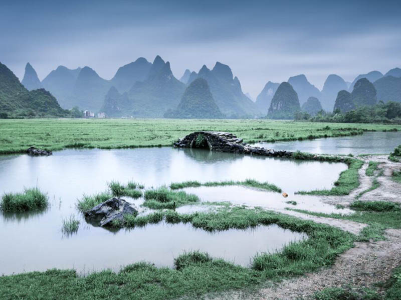 蓝绿藻监测方法原理